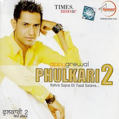 Gippy Grewal Phulkari, Vol. 2