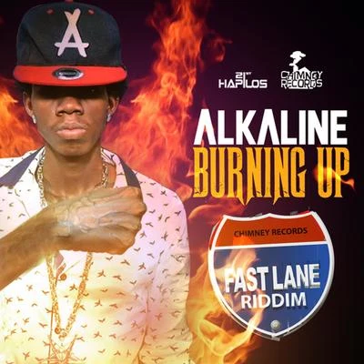 Alkaline Burning Up - Single