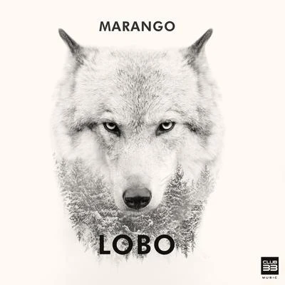 Marango Lobo