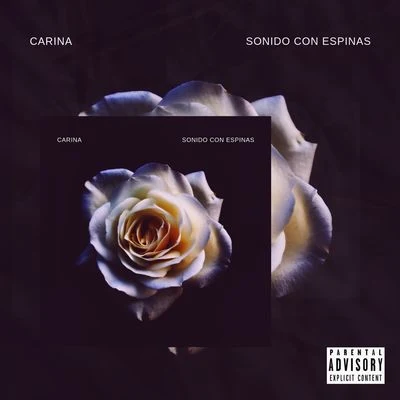 Mr Nigga/Greg Man Carina (Sonido Con Espinas)