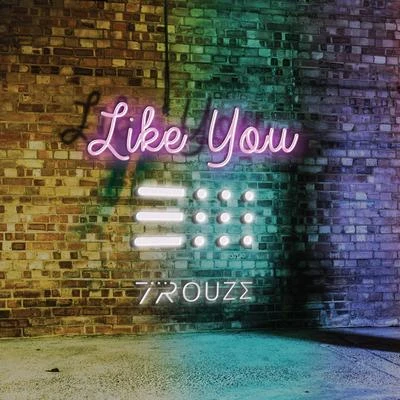 Trouze Like You (Radio Edit)