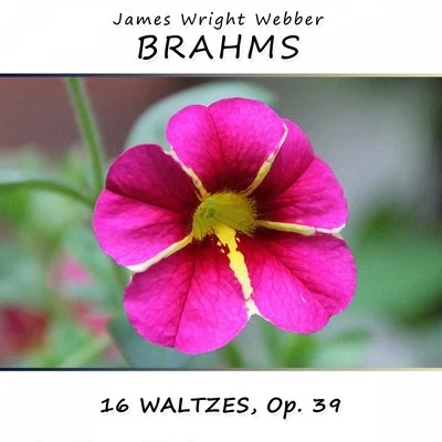 James Wright Webber Brahms: 16 Waltzes, Op. 39