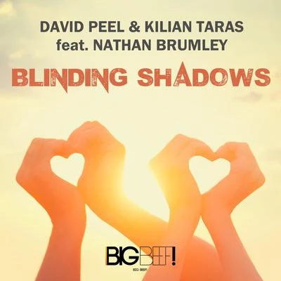 David Peel Blinding Shadows