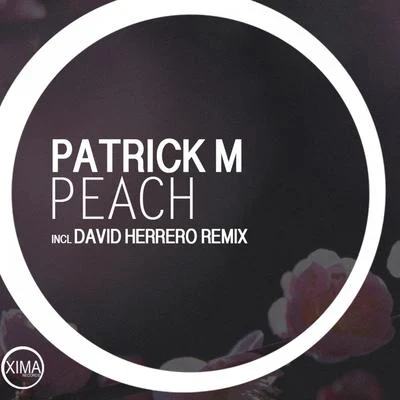 Patrick M Peach