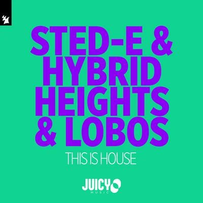 Lobos/Sted-E & Hybrid Heights This Is House