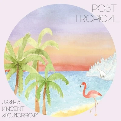 James Vincent McMorrow Post Tropical