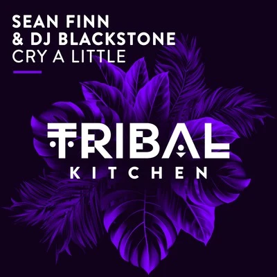 DJ Blackstone/Sean Finn Cry a Little