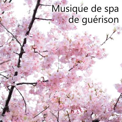 Oasis de Musique Zen Spa/Académie de bien-être/Zone de Détente Musique de spa de guérison - Sons pour la relaxation, Le bien-être, Le massage parfait, L'eau reposante, Le calme, Le sommeil profond, La beauté