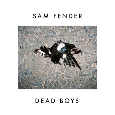 Sam Fender Dead Boys