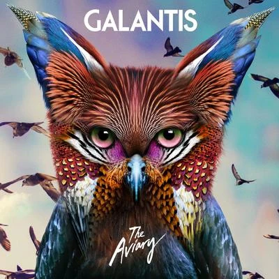 ROZES/Throttle/Galantis/Quintino & Blasterjaxx The Aviary