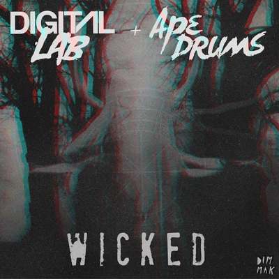 Digital Lab Wicked