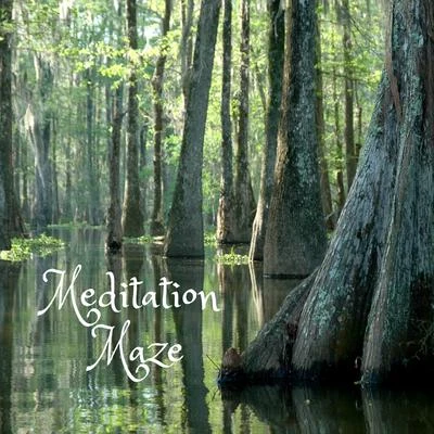 Rain Recorders Meditation Maze