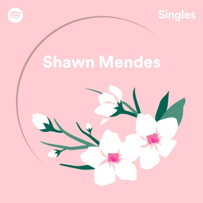 Shawn Mendes Spotify Singles