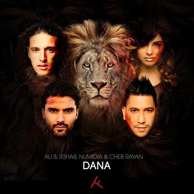 Cheb Rayan/R3hab/Numidia/Ali B Dana