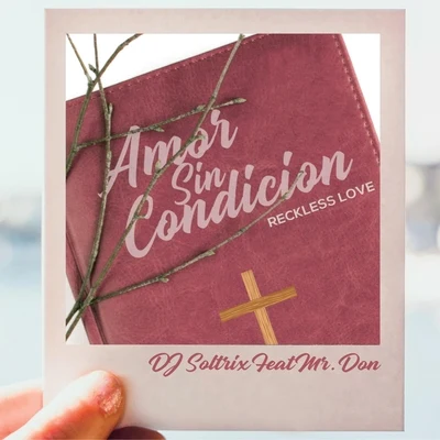 Mr. Don/DJ Soltrix Amor Sin Condicion (Reckless Love) [feat. Mr. Don]