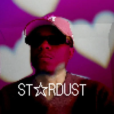 歌手 StarDust