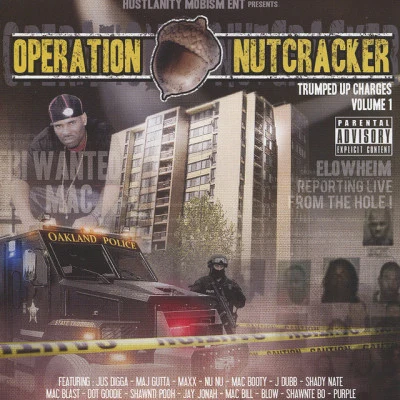 歌手 Operation Nutcracker