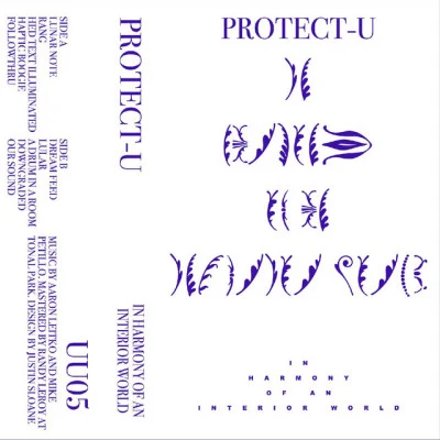 歌手 Protect-U