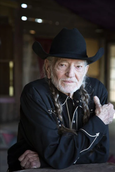 Willie Nelson/Don Davis/Rex Griffin/Richard M. Sherman/Danny Dill/Hank Cochran Up And Down