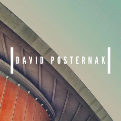 歌手 David Posternak