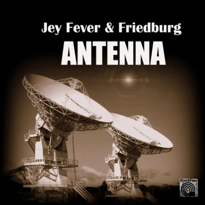 歌手 FriedburgJey Fever