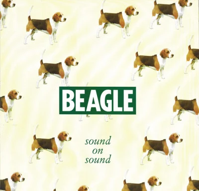 歌手 BEAGLEQuvicBoyYudamOSSH