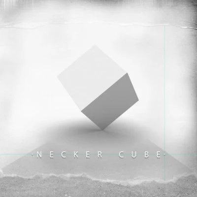 歌手 Necker Cube