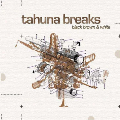 歌手 Tahuna Breaks