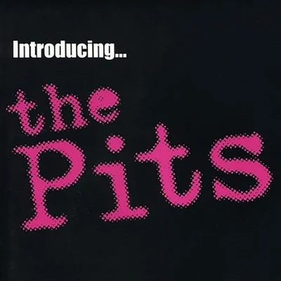 歌手 The Pits