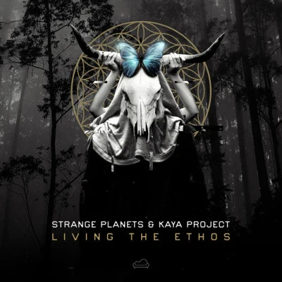 歌手 Strange PlanetsKaya Project