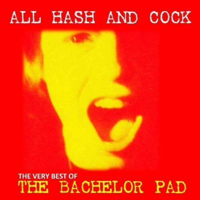 歌手 The Bachelor Pad