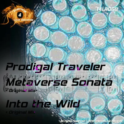 歌手 Prodigal Traveler