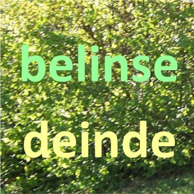 歌手 Belinse