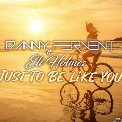 Danny Fervent Time 2 Shine (The Remixes)