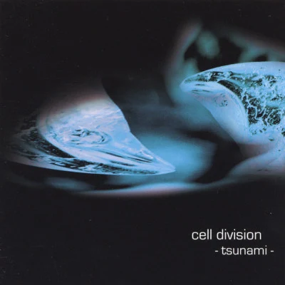 歌手 Cell Division