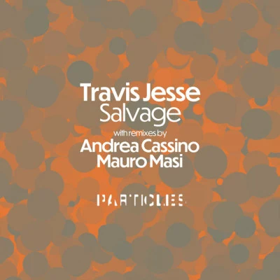 歌手 Travis Jesse