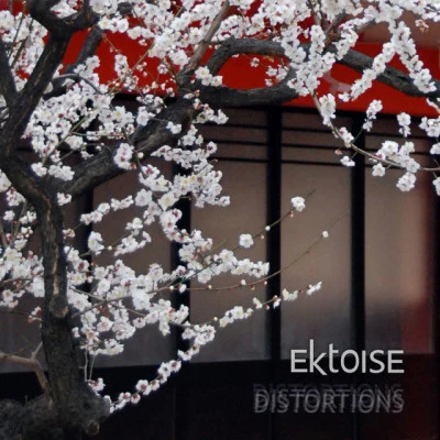 歌手 Ektoise