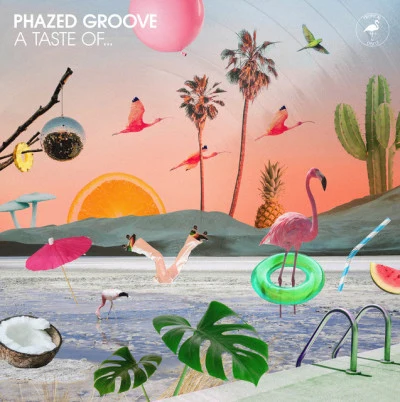 歌手 Phazed Groove