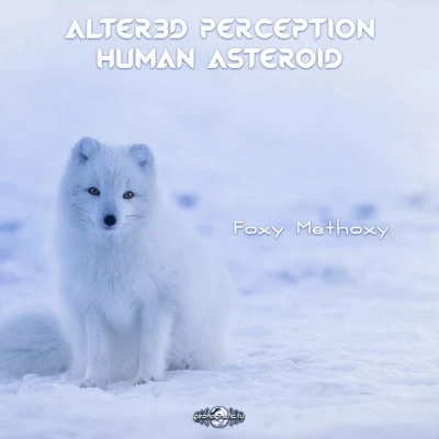 Human Asteroid/Alter3d Perception Foxy Methoxy