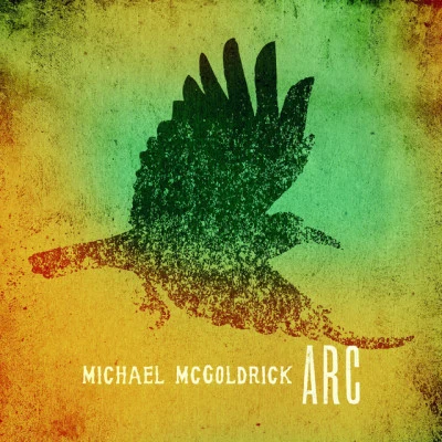 歌手 Michael McGoldrick