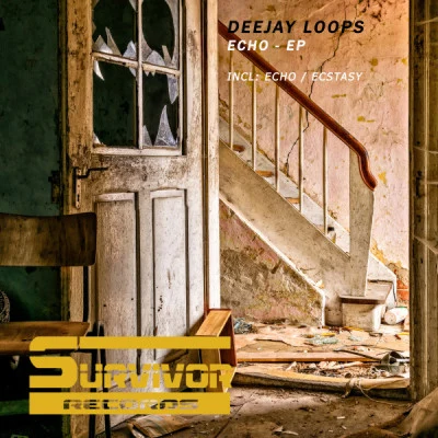 歌手 Deejay Loops