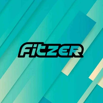 歌手 Fitzer