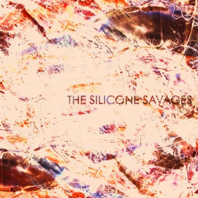 歌手 The Silicone Savages