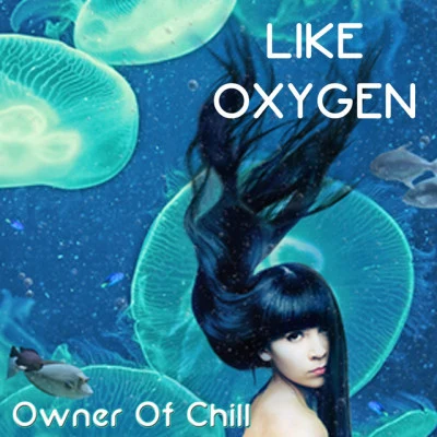 歌手 Owner of Chill