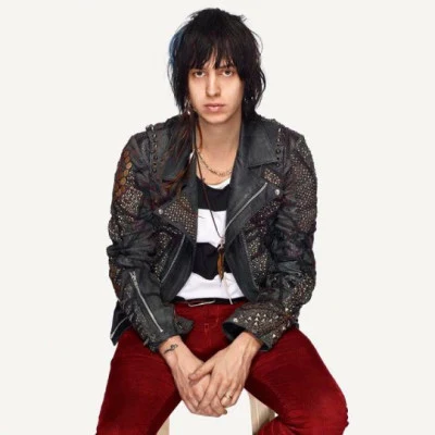 歌手 Julian Casablancas