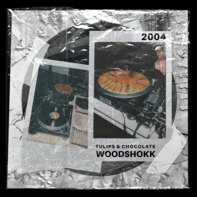 歌手 Woodshokk