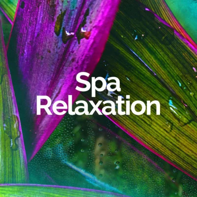 歌手 Spa RelaxationSounds of Nature RelaxationMusica Relajante Para Estudiar