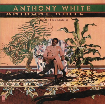 歌手 Anthony White