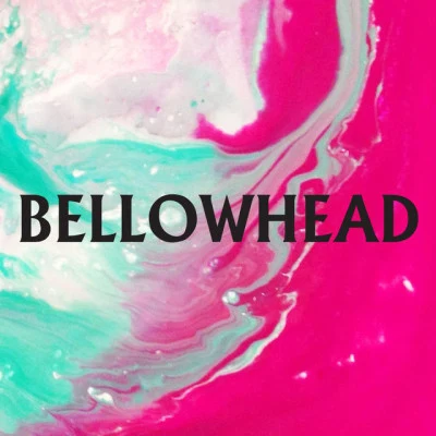 歌手 Bellowhead