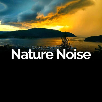 Nature Noise Relaxing White Noise